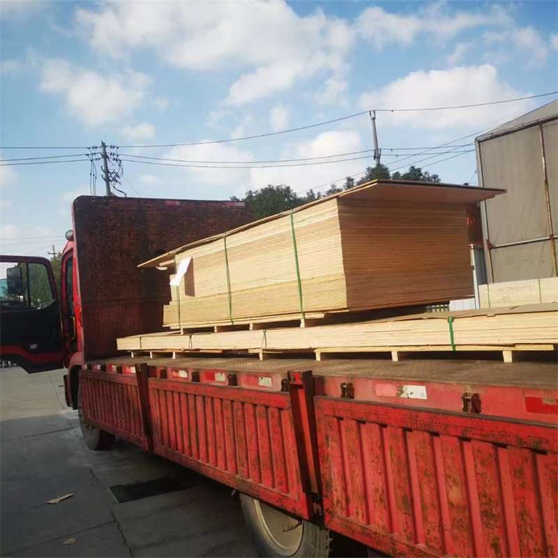 福建福州闽清县至塔城货运专线，一站式物流服务助您成功